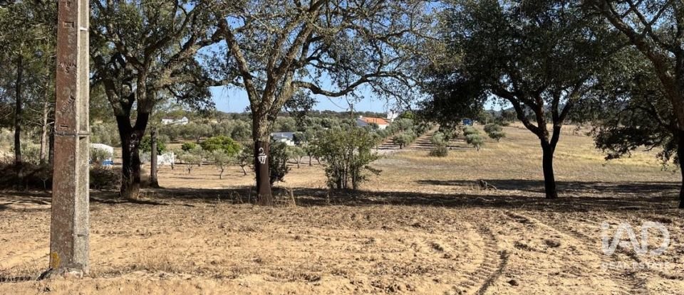 Terreno em Grândola e Santa Margarida da Serra de 8 000 m²