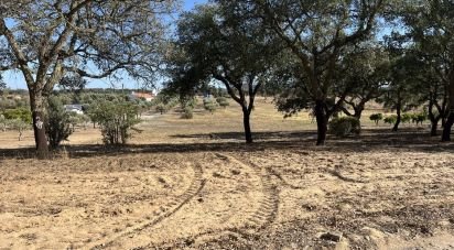 Terrain à Grândola e Santa Margarida da Serra de 8 000 m²
