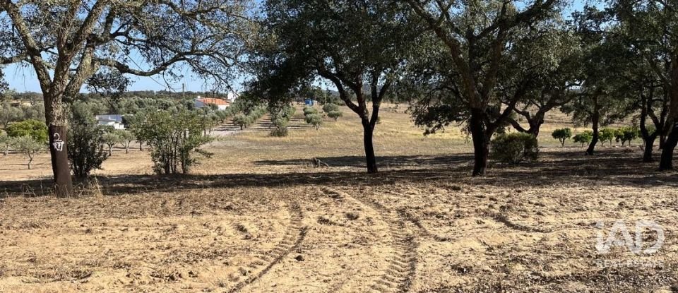 Terreno em Grândola e Santa Margarida da Serra de 8 000 m²