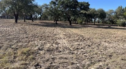 Terrain à Grândola e Santa Margarida da Serra de 8 000 m²