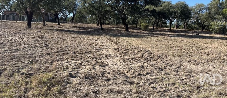 Terreno em Grândola e Santa Margarida da Serra de 8 000 m²