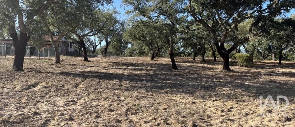 Terreno em Grândola e Santa Margarida da Serra de 8 000 m²