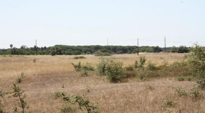 Terrain à bâtir à Pegões de 53 250 m²