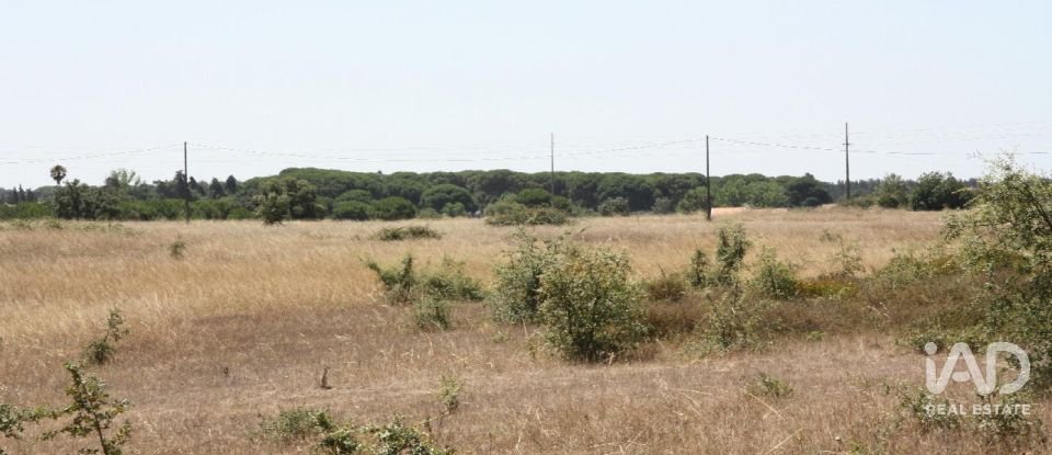 Terrain à bâtir à Pegões de 53 250 m²