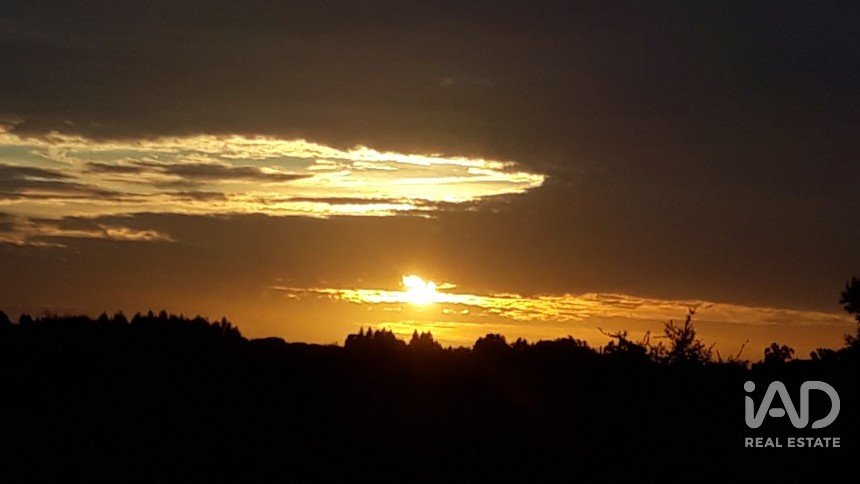 Terrain à bâtir à Pegões de 53 250 m²