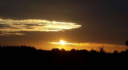 Terrain à bâtir à Pegões de 53 250 m²