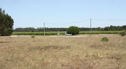 Terrain à bâtir à Pegões de 53 250 m²