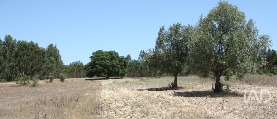 Terrain à bâtir à Pegões de 53 250 m²