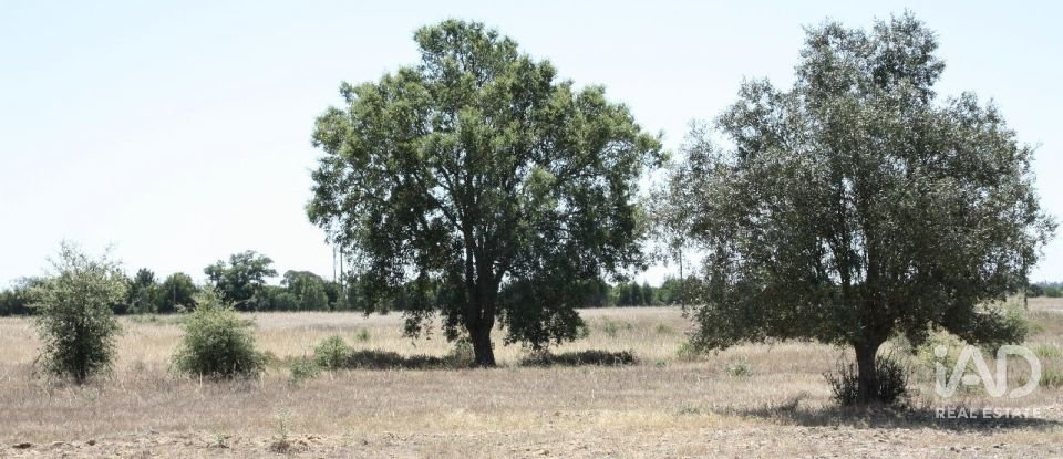 Terrain à bâtir à Pegões de 53 250 m²
