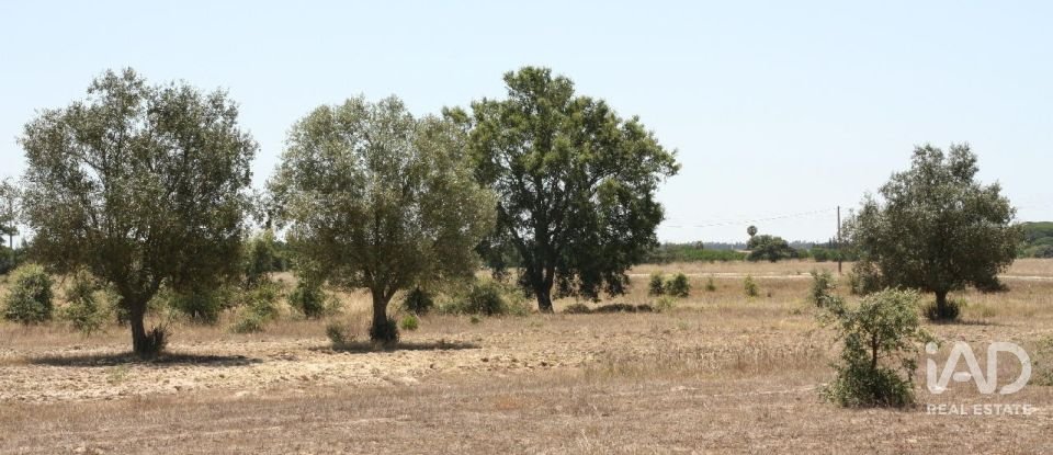 Terrain à bâtir à Pegões de 53 250 m²