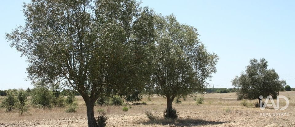 Terrain à bâtir à Pegões de 53 250 m²