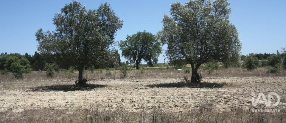 Terrain à bâtir à Pegões de 53 250 m²
