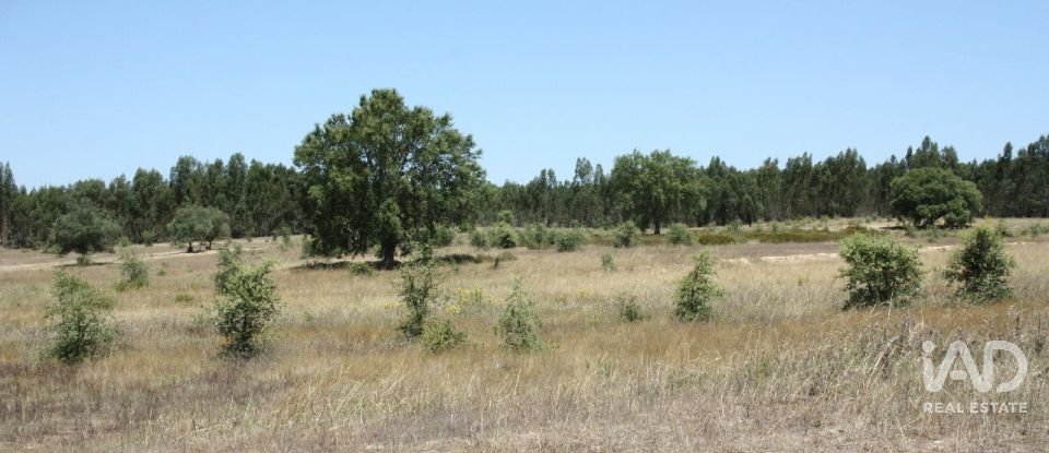 Terrain à bâtir à Pegões de 53 250 m²