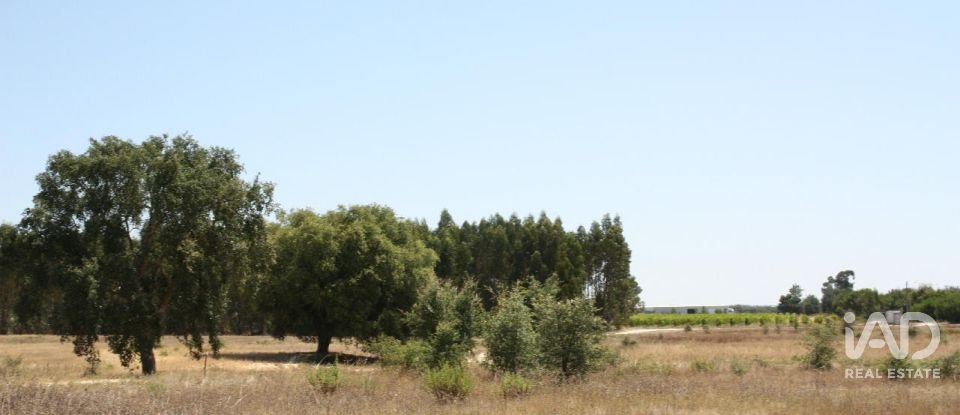 Terrain à bâtir à Pegões de 53 250 m²