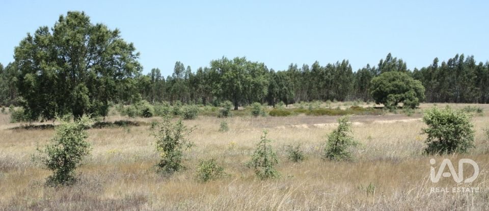 Terrain à bâtir à Pegões de 53 250 m²