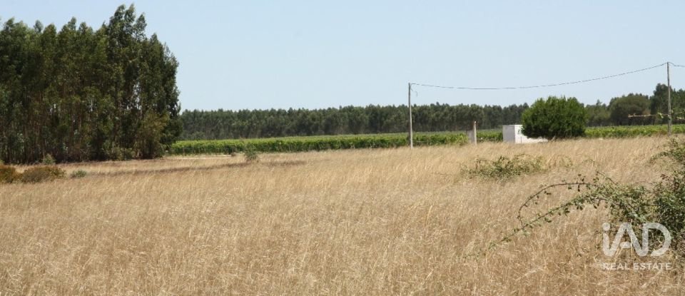 Terrain à bâtir à Pegões de 53 250 m²