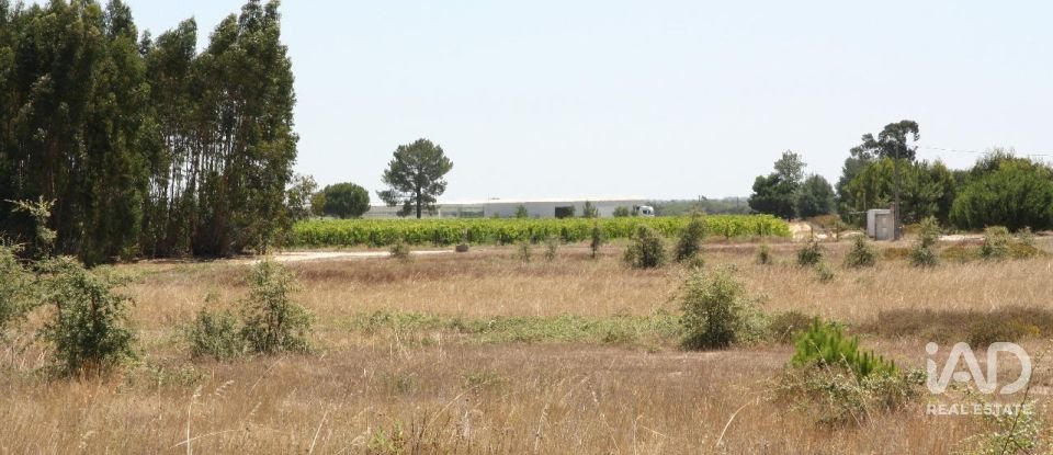 Terrain à bâtir à Pegões de 53 250 m²