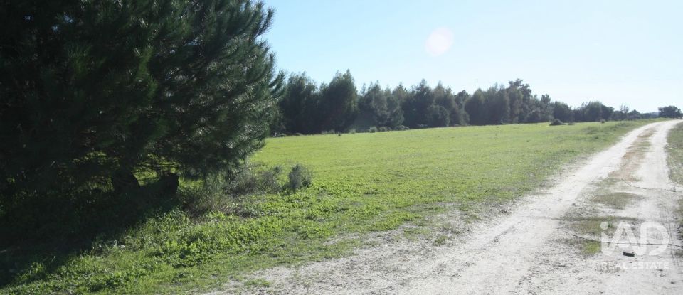 Terrain à bâtir à Pegões de 53 250 m²