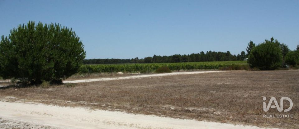 Terrain à bâtir à Pegões de 53 250 m²