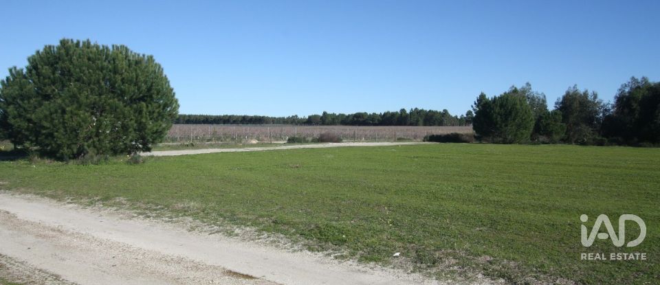 Terrain à bâtir à Pegões de 53 250 m²
