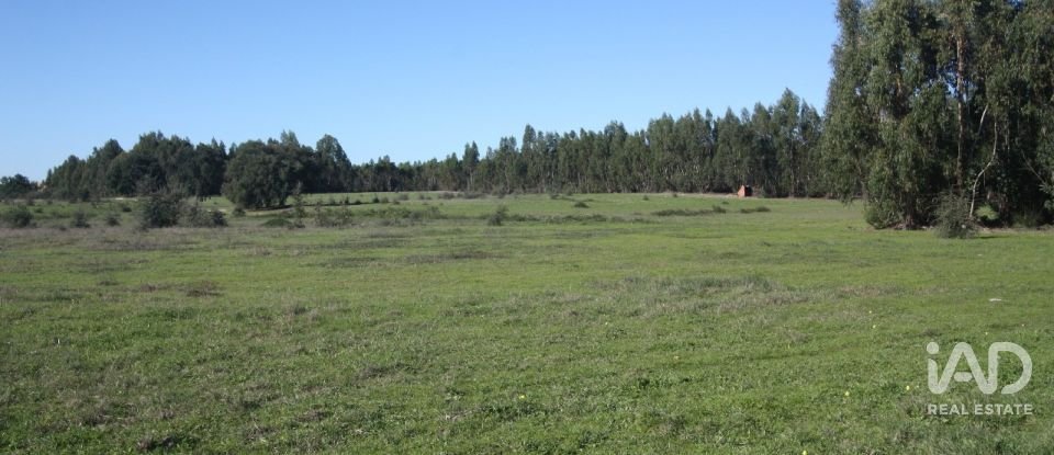 Terrain à bâtir à Pegões de 53 250 m²