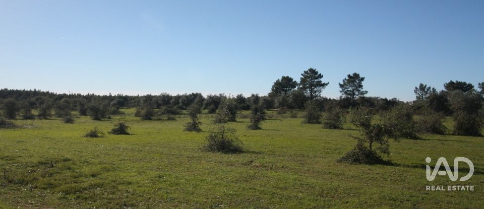 Terrain à bâtir à Pegões de 53 250 m²