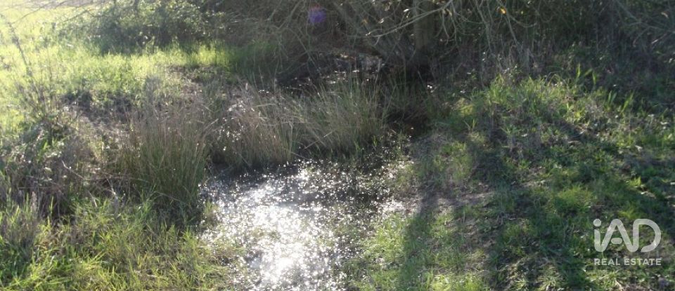 Terrain à bâtir à Pegões de 53 250 m²
