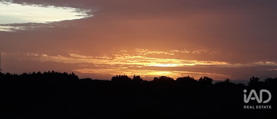 Terrain à bâtir à Pegões de 53 250 m²