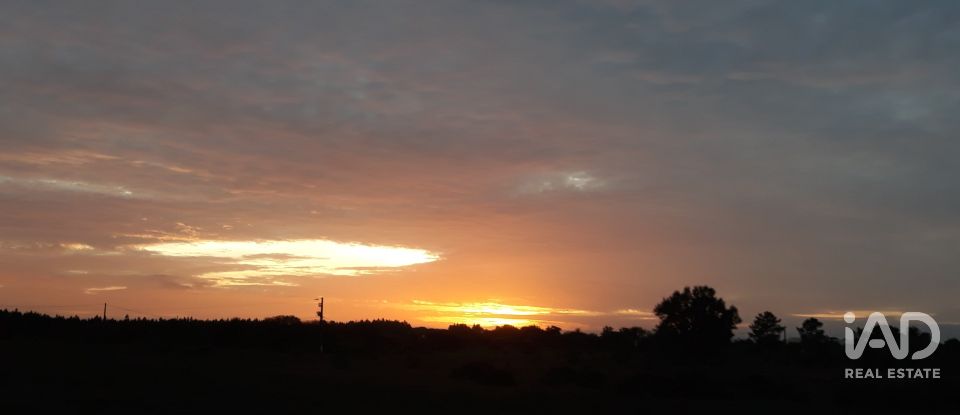 Terrain à bâtir à Pegões de 53 250 m²