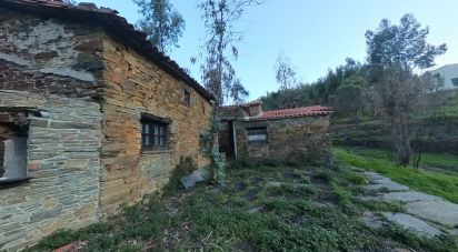Maison rustique T0 à Pedrógão Pequeno de 192 m²