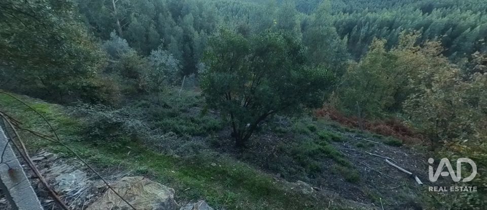 Maison rustique T0 à Pedrógão Pequeno de 192 m²