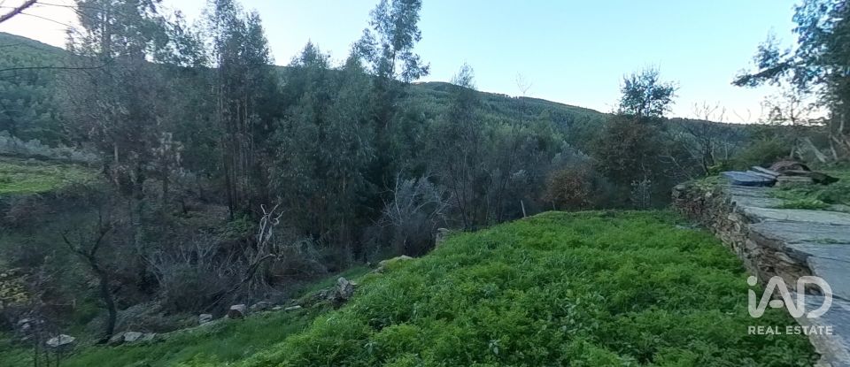 Maison rustique T0 à Pedrógão Pequeno de 192 m²