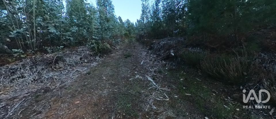 Maison rustique T0 à Pedrógão Pequeno de 192 m²