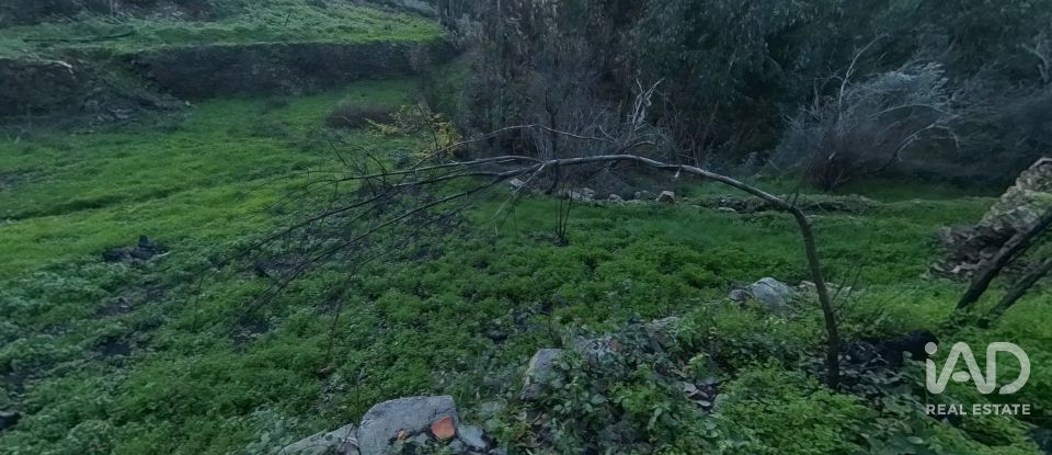 Maison rustique T0 à Pedrógão Pequeno de 192 m²