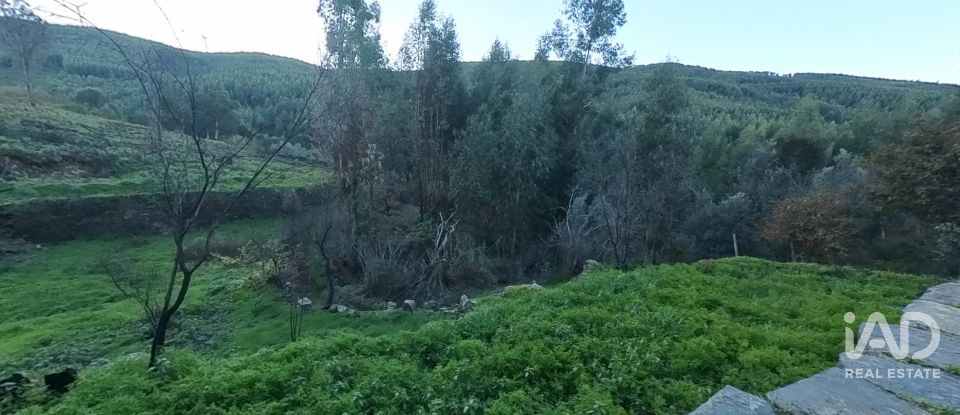 Maison rustique T0 à Pedrógão Pequeno de 192 m²