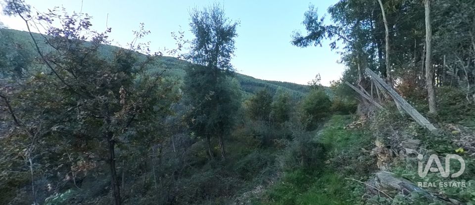 Maison rustique T0 à Pedrógão Pequeno de 192 m²