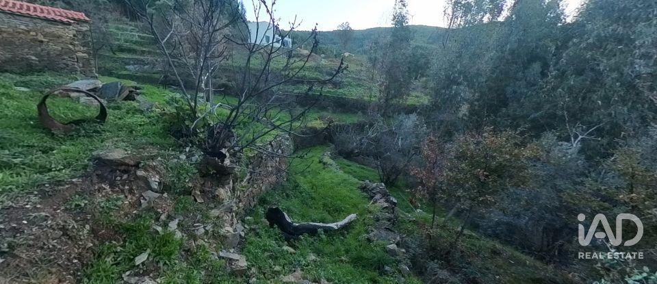 Maison rustique T0 à Pedrógão Pequeno de 192 m²