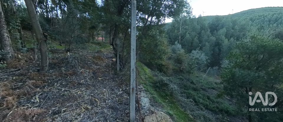 Maison rustique T0 à Pedrógão Pequeno de 192 m²