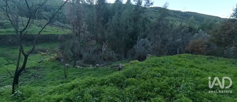 Maison rustique T0 à Pedrógão Pequeno de 192 m²