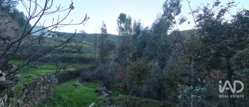 Maison rustique T0 à Pedrógão Pequeno de 192 m²