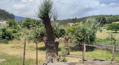 Maison T4 à Alvares de 390 m²