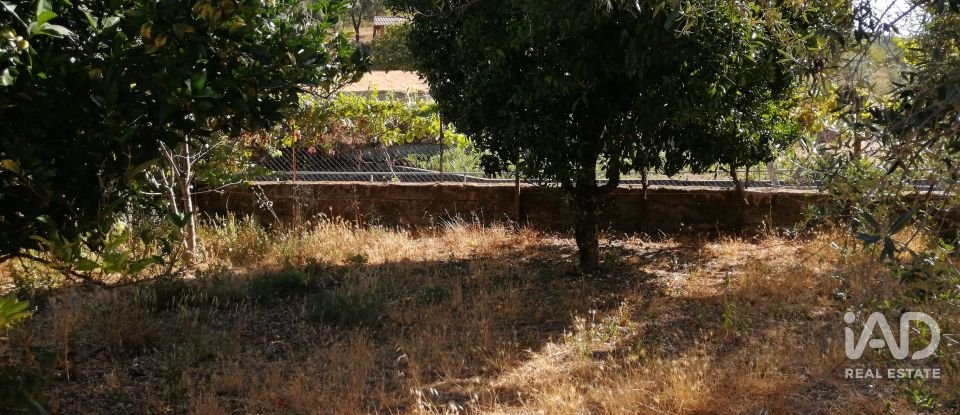 Maison T4 à Alvares de 390 m²