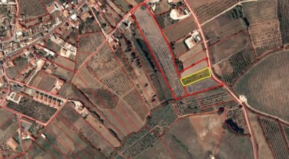 Terrain agricole à Santa Comba Dão e Couto do Mosteiro de 1 440 m²