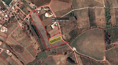 Terrain agricole à Santa Comba Dão e Couto do Mosteiro de 1 440 m²