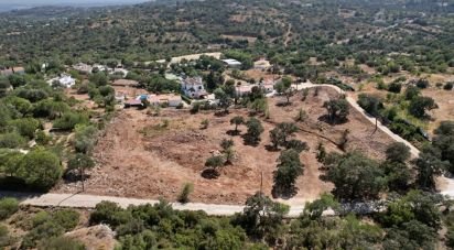 Terrain à bâtir à Santa Bárbara de Nexe de 8 736 m²