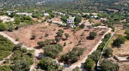 Terrain à bâtir à Santa Bárbara de Nexe de 8 736 m²