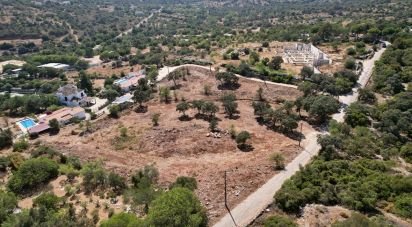 Terrain à bâtir à Santa Bárbara de Nexe de 8 736 m²
