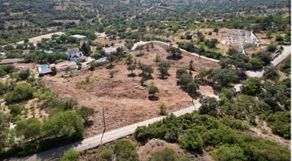 Terrain à bâtir à Santa Bárbara de Nexe de 8 736 m²