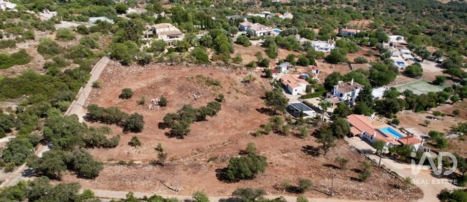 Terrain à bâtir à Santa Bárbara de Nexe de 8 736 m²