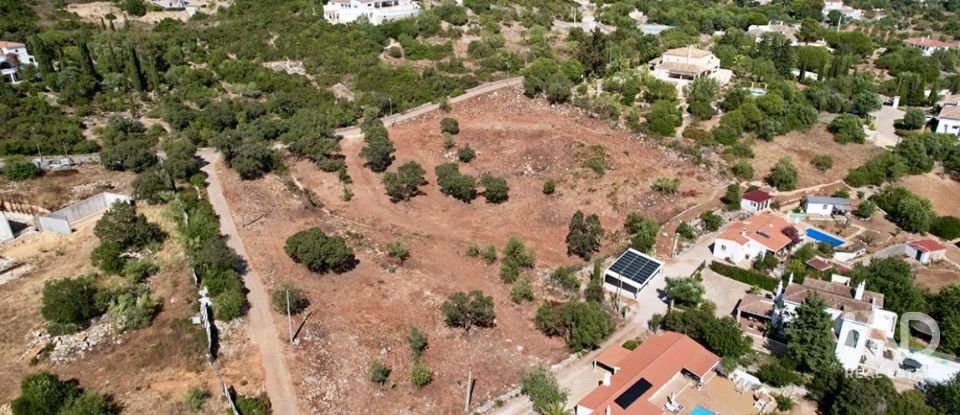 Terrain à bâtir à Santa Bárbara de Nexe de 8 736 m²